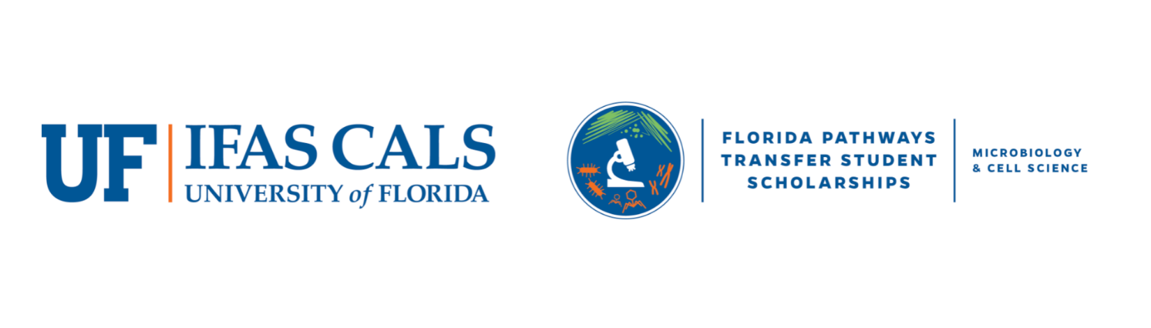 Florida Pathways S-STEM Scholarship Banner Image