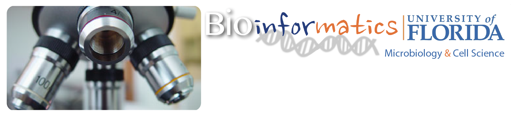 An image of the banner for the bioinformatics program within the Microbiology and Cell Science department at UF
